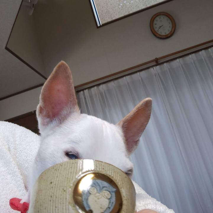 73fa79a5 cd25 400d 9104 c1bf81a8597e 1542498133014