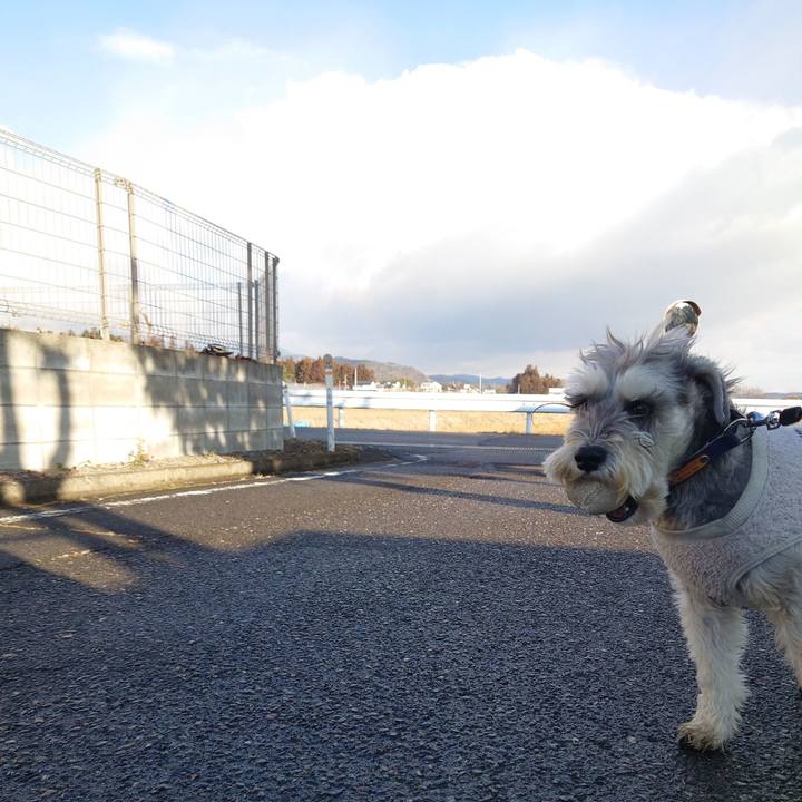 73fa920b ddb1 4d5a 923f ac3ad254509b 1770255793933