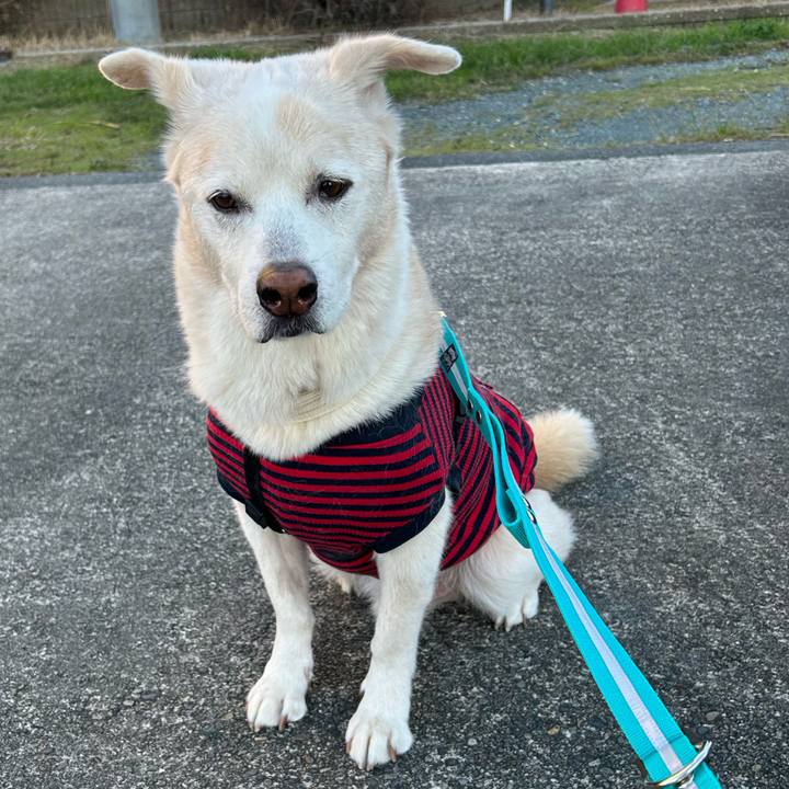 73fac80d f80e 41e2 bbef 5b5d5008ae91 1761604944829