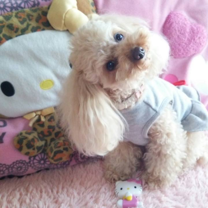 73fae1ff 5914 4c0d af45 0d7f2dba060a 1521882868012