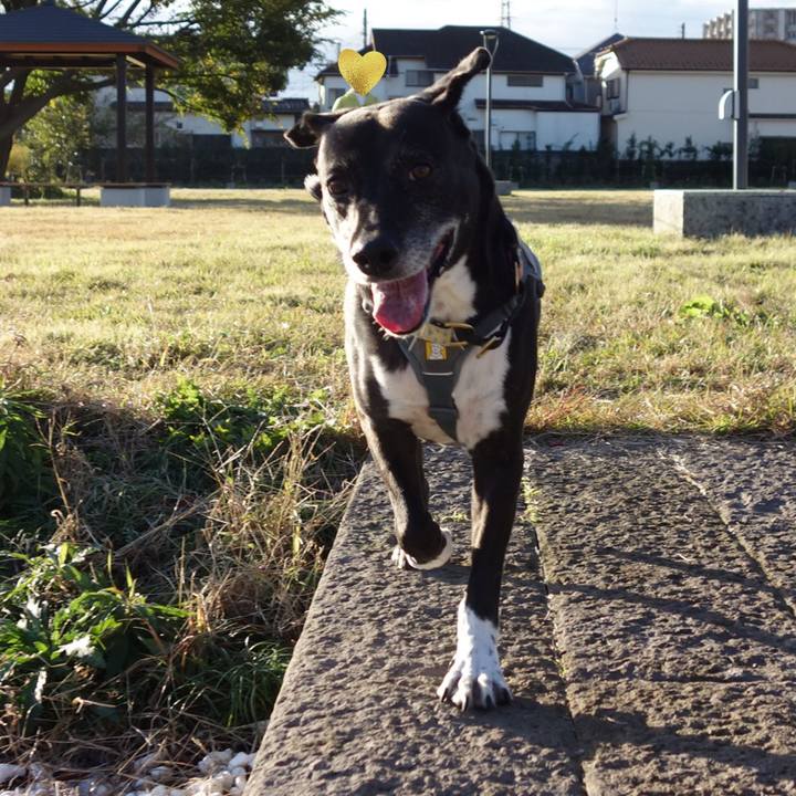 73faf541 bf7c 44e5 b1b3 7e6b9b0666a8 1732409462399