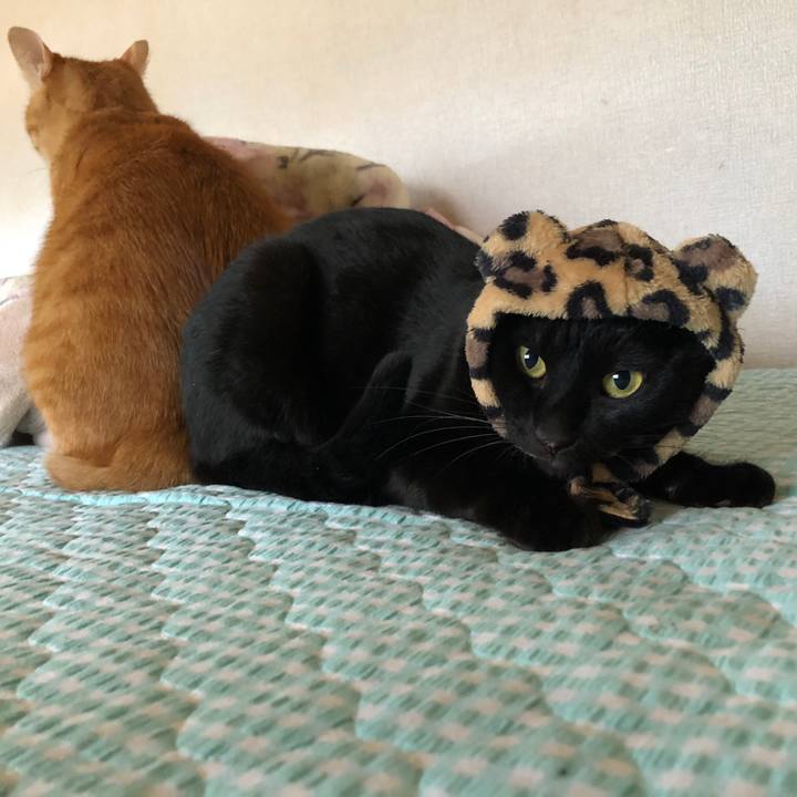 73faff49 eec5 4bc9 9350 e9774b69b11a 1662265117128