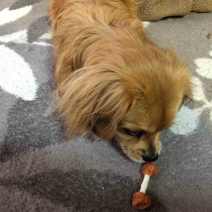 73fb1270 ffc3 4475 a875 e684ddd4a2c1 1551910930558