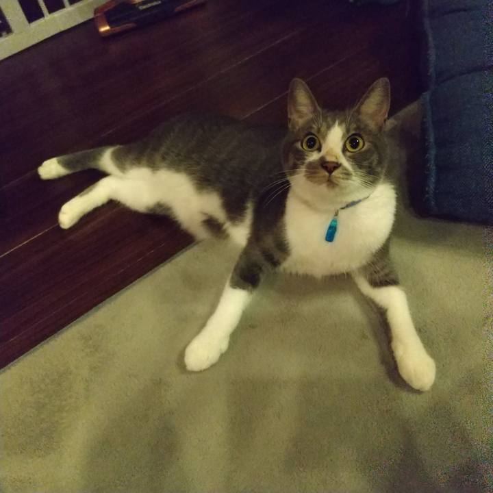 73fb5343 a9da 4565 b33c 155b3ffbe21b 1599139608720