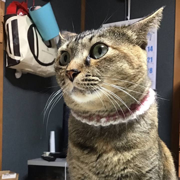 73fb895f b994 4994 b93d c78222103750 1673773823031