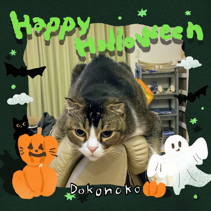 73fb8c07 1abe 4db9 a98c 9a316e83b324 1730296438262