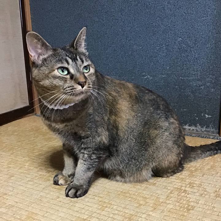 73fbb6bf a392 4b73 a762 3f5b145cbed9 1754041149309