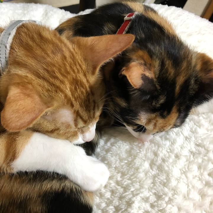 73fbce7c 2110 493f 9cb6 fcf4541eadac 1547021470367