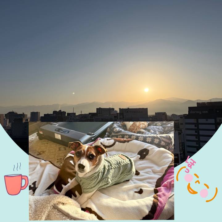 73fc2095 44cf 4ac2 ba85 ba2528efffe2 1771118407174