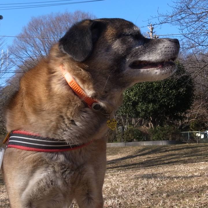 73fc92f0 180b 4131 a084 23bad10e81f3 1598401045399