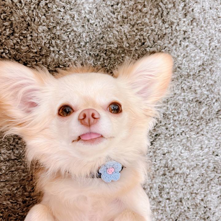 73fcafc8 c71b 4243 a0aa cc36f0f8128f 1655980297460