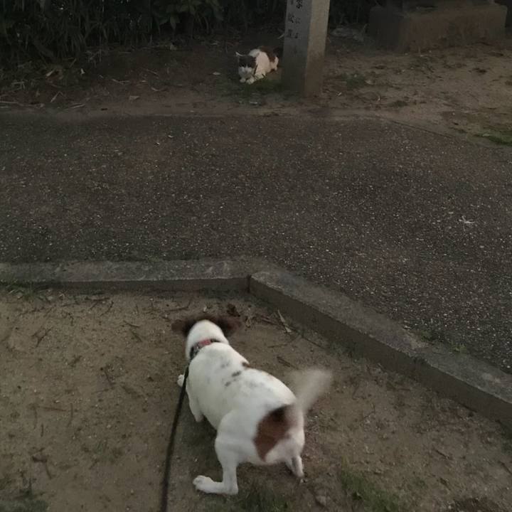 73fcb47e e76d 4bd8 a698 ef538dc0e4d3 1531569597541