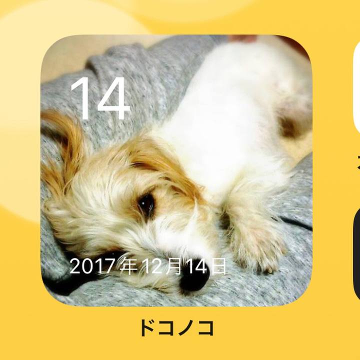 73fcc305 1b5d 482c b914 4487b7df7e2c 1639429920911