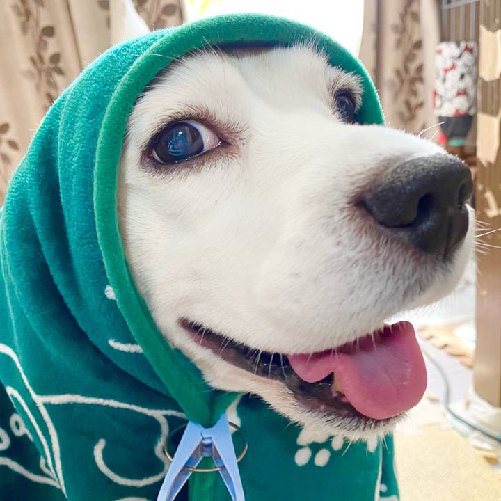 73fce9d7 efe9 4c5a 8b30 4639a8a992f0 1613102355935