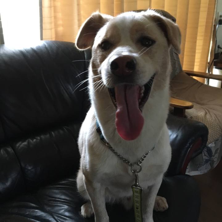 73fd1225 7734 48e6 9104 5d37d188aeae 1530329925872