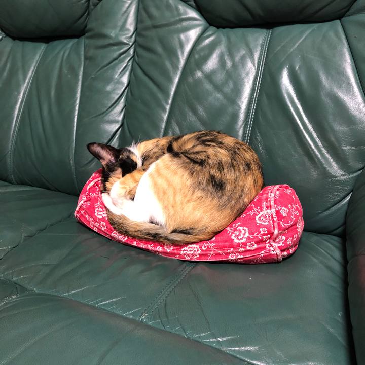 73fd682b efc1 4349 ab23 5c95f04df804 1647084628073