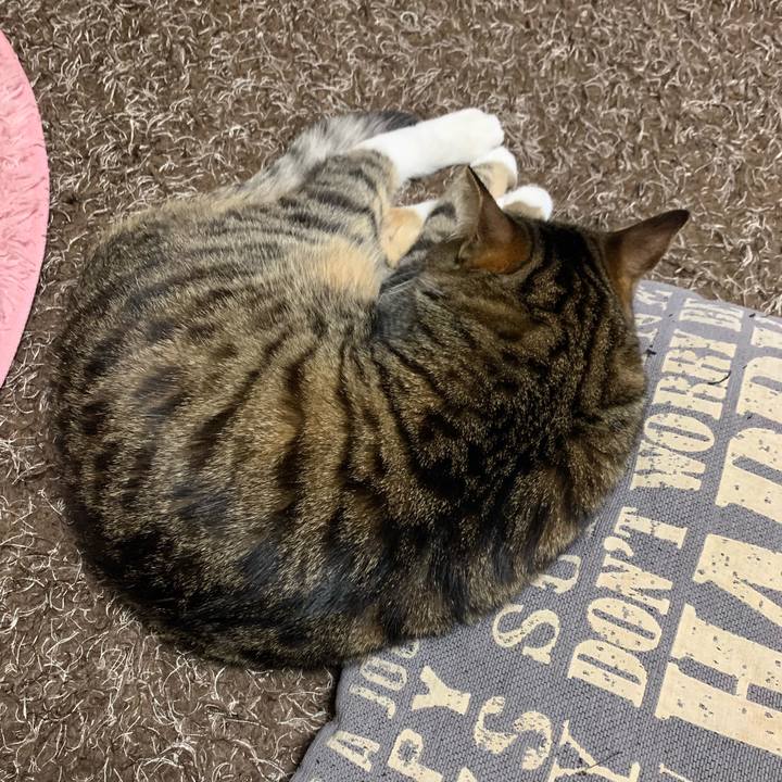 73fd6b90 ce2e 47da b0bf 5bc96e644e0d 1556623904899