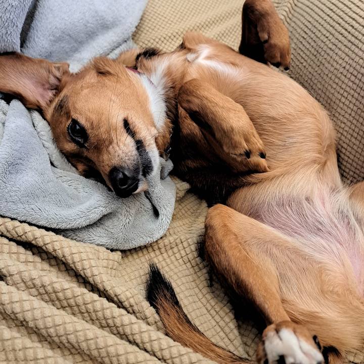 73fd83b9 c765 4da6 85d4 1d0d174fa80f 1762693422517