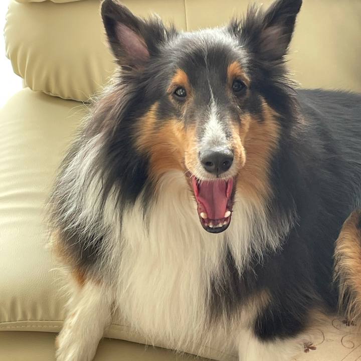 73fda23a ac18 4659 9c81 a26fca578178 1610151737576