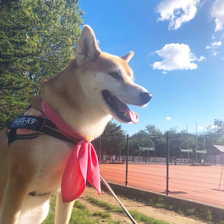 73fdc91c ce12 4cbc a555 448801cad890 1537235816281