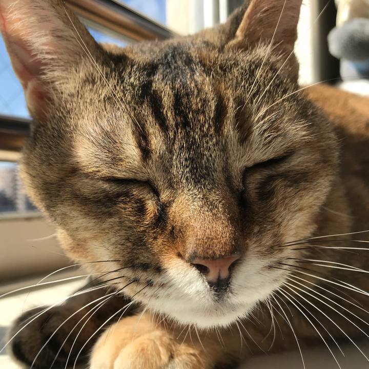 73fdff60 7f8c 404b 8c24 327b6bd3a1fd 1508982408490