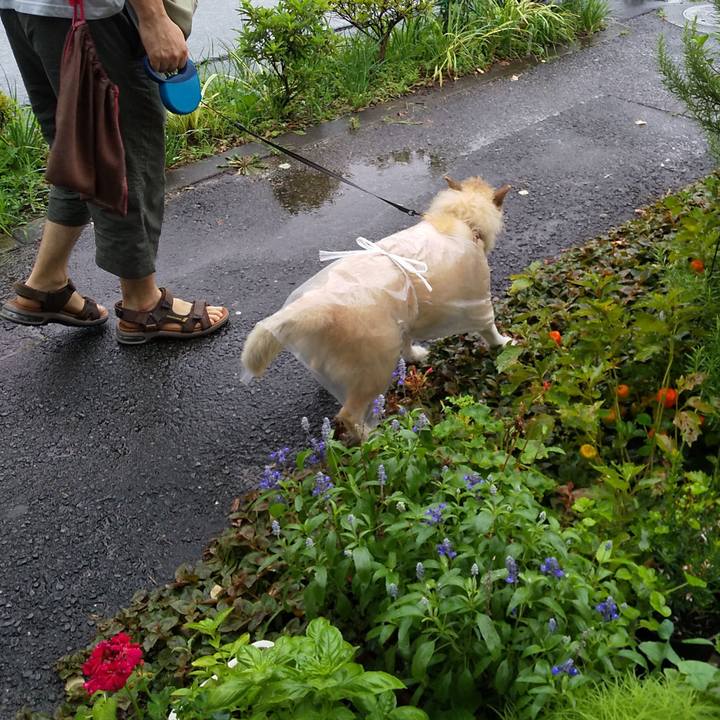 73fe29da 396e 4a03 8650 cf25c76cc271 1595463668273