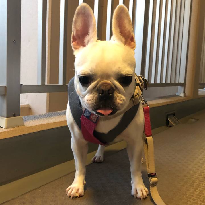 73fe6ab6 214c 4cce 8663 3a5b74cef24b 1565776155931