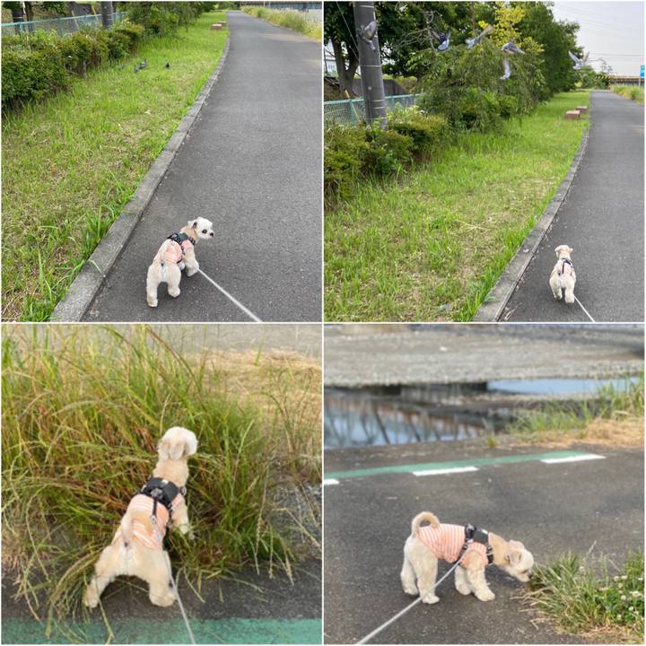 73fe833c cb28 47a9 a28c 8e402c5d32cf 1591359389212