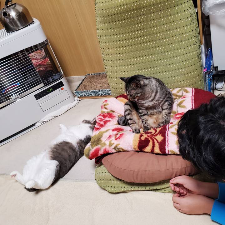 73fea12d b911 4aba 9ac0 8ab8d54b377f 1703263183052