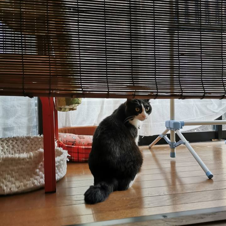 73feb735 8302 436d 9dbc ab8a02f98d06 1656216987874