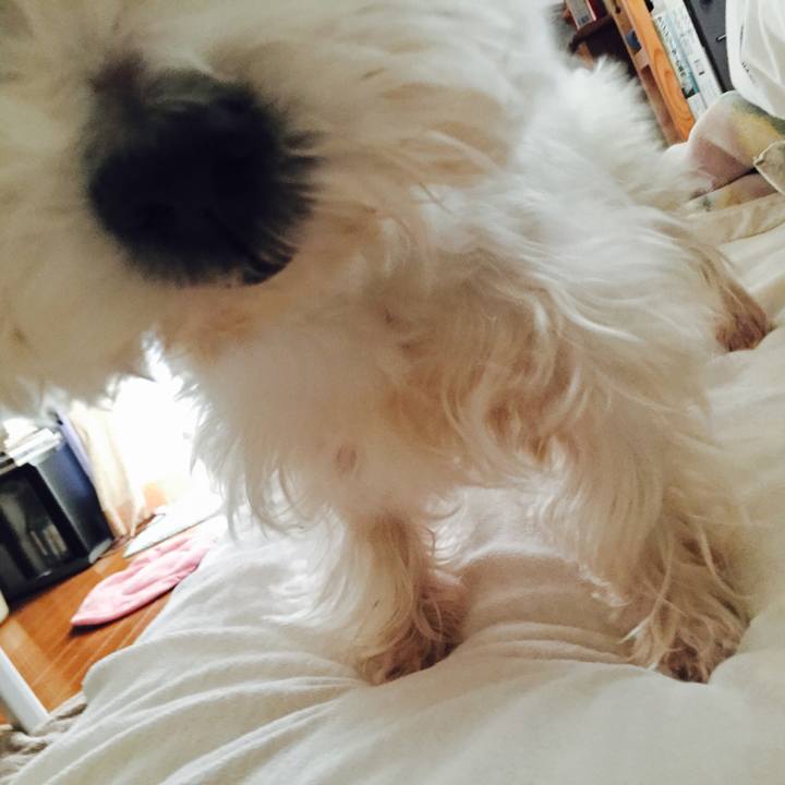 73ff4086 f678 48f4 9d25 3ba789708870 1509602570436