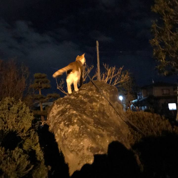 73ff56d2 4d6f 4aa8 bb58 c50450a836d4 1513599157973