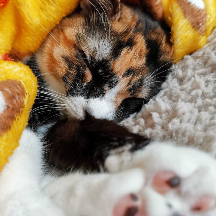 74000c85 e43e 4d3d bb05 9799ad0b4e41 1645591195806