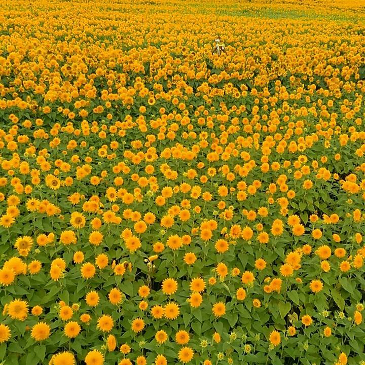 7400125b 38ab 4316 a2ee 6f5deb6dec73 1567220192899