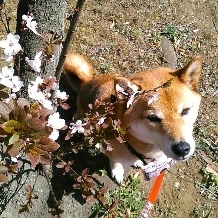 7400254b 4041 45b6 a476 e589cadf65a3 1553655739555