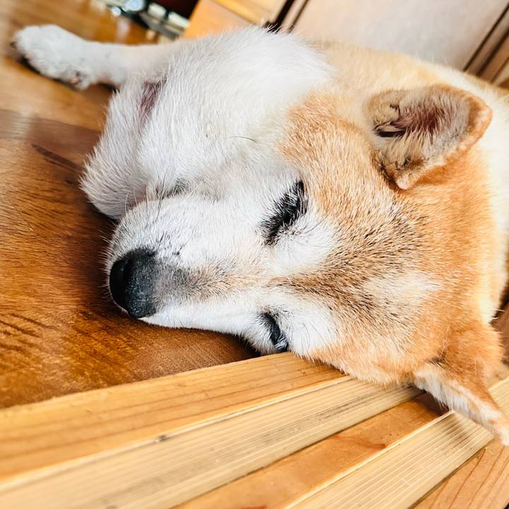 740062cc 7aa1 41d7 951d 396f87570481 1758340345708