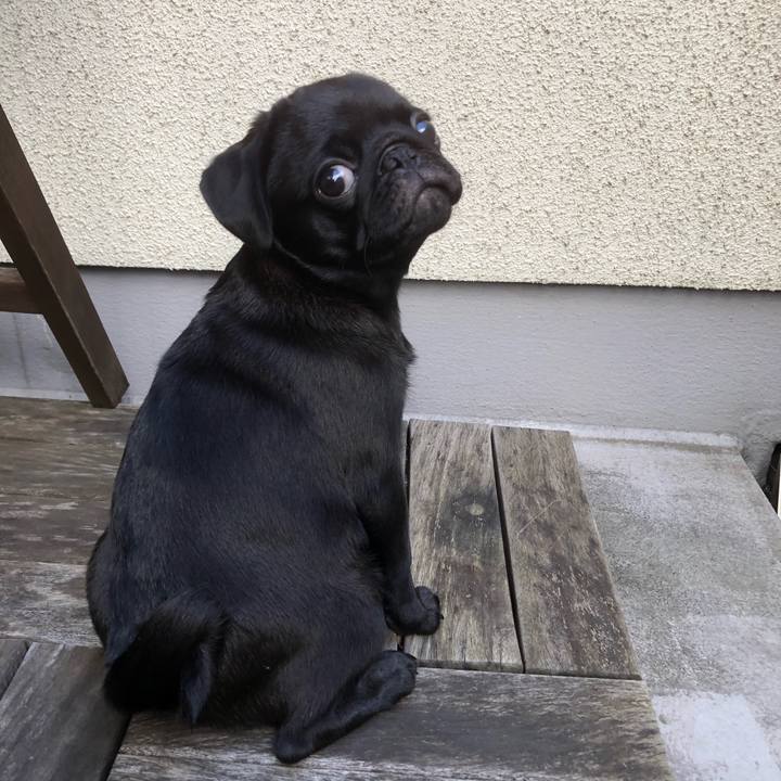 7400c4fb c701 4098 af83 d90c22c8fdd7 1590287148105