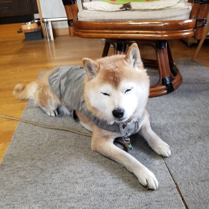 7400cc36 3660 4bf9 a0a9 1f7ec24bb20d 1678403528275