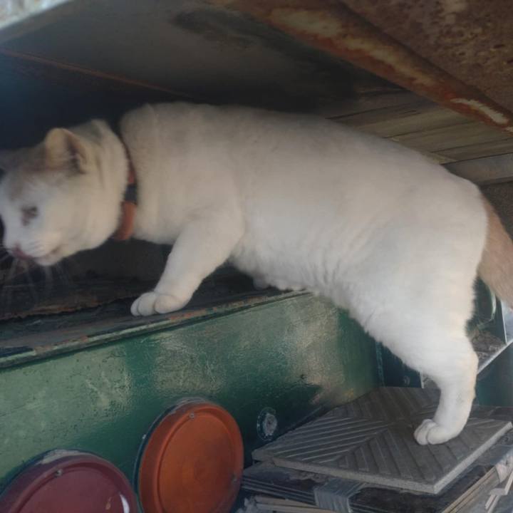 7400d5e6 bf6e 4b85 88e9 fb09feed68e7 1762225324516