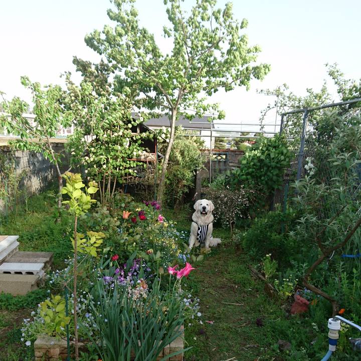 7400f36d 724d 4a08 a121 5dd6062f22c5 1523786712502