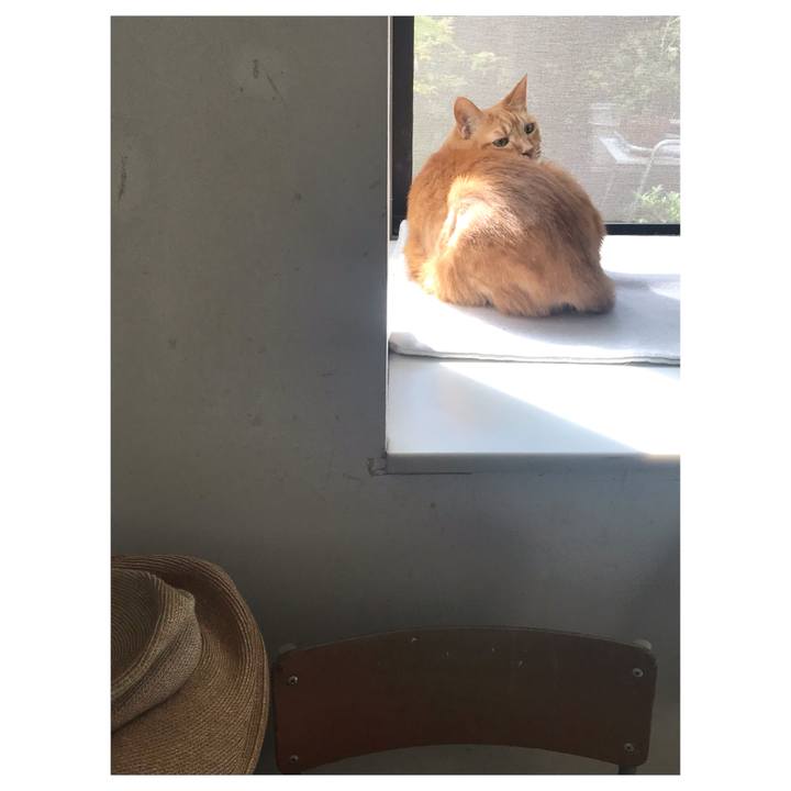 7400f38f f550 4e5a a03a 7ac1d8ee186d 1649812249833