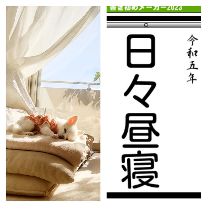 74017916 5346 45f0 a320 5b17a8acfb13 1673123401308