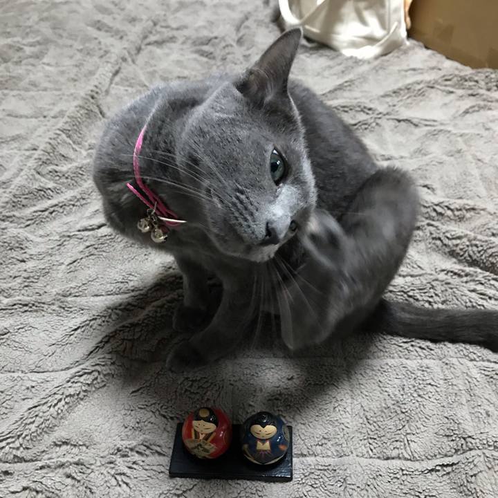 740189bc 27ab 43c2 8e88 afaec723057a 1551591648167