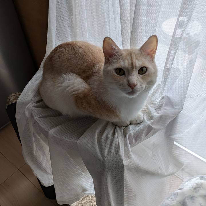 7401e8f1 7360 4d3f 8246 dac260fbdd65 1725319525210