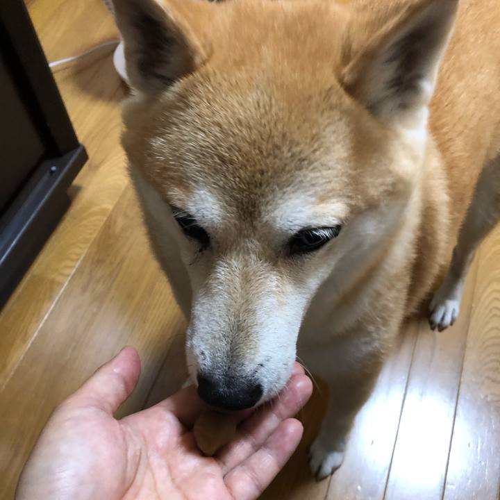 7401ed1a 8b0f 44e1 93c2 5547b67a7575 1596622972886