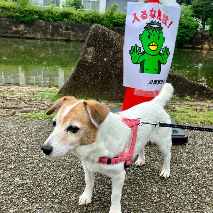 7401f819 91a2 4fe8 8d23 fbd9680e348b 1723287601501