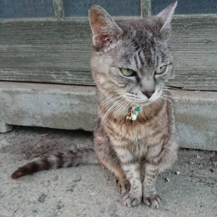 74020b40 36dd 42e4 8b99 4fd6fbe272fd 1568711167430