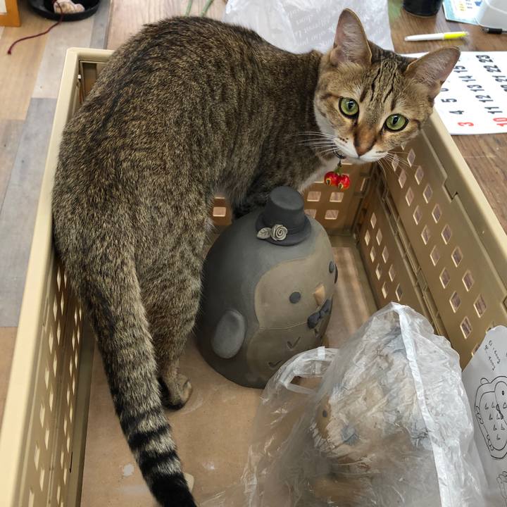 74025303 70e0 4454 b5d8 8a075526c90f 1655688378019