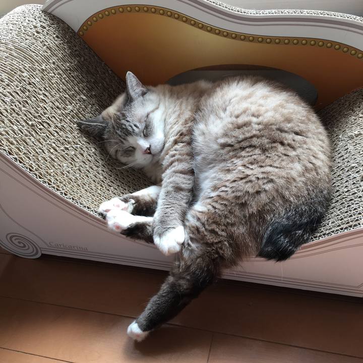 74029d20 9d33 4467 84d3 b55ec6b817c4 1582773638638