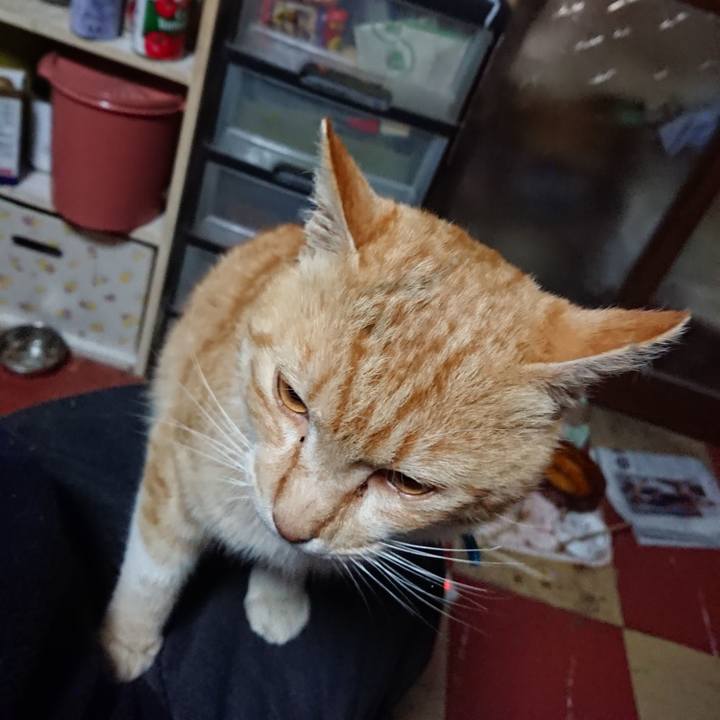 7402a2dd 3939 401c 9a38 4a38c8791405 1556914009197